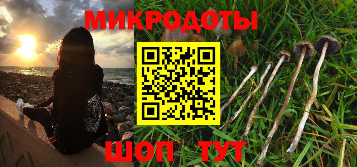 Галлюциногенные грибы Magic Shrooms  где купить наркотик  Тайшет  Вход с VPN 